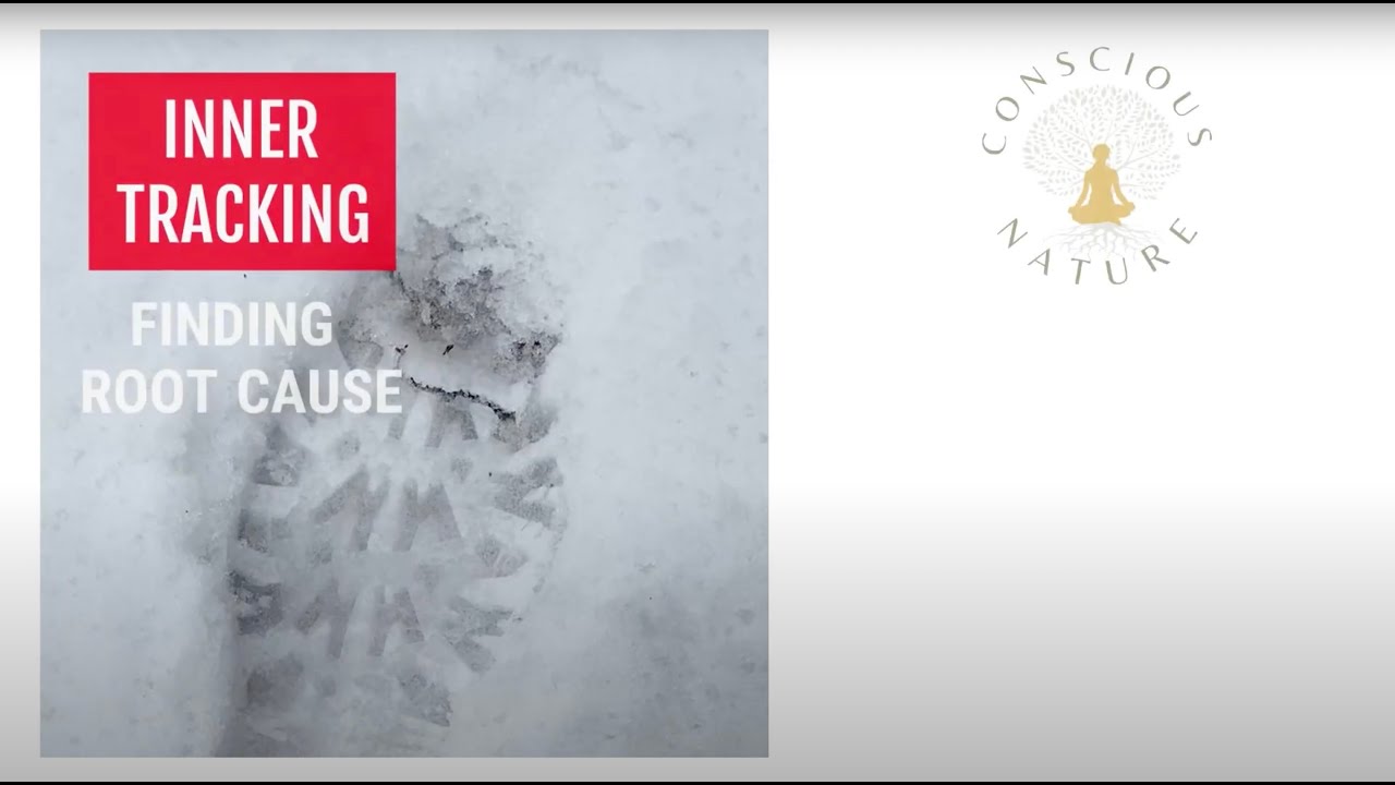 Inner Tracking: Finding Root Cause