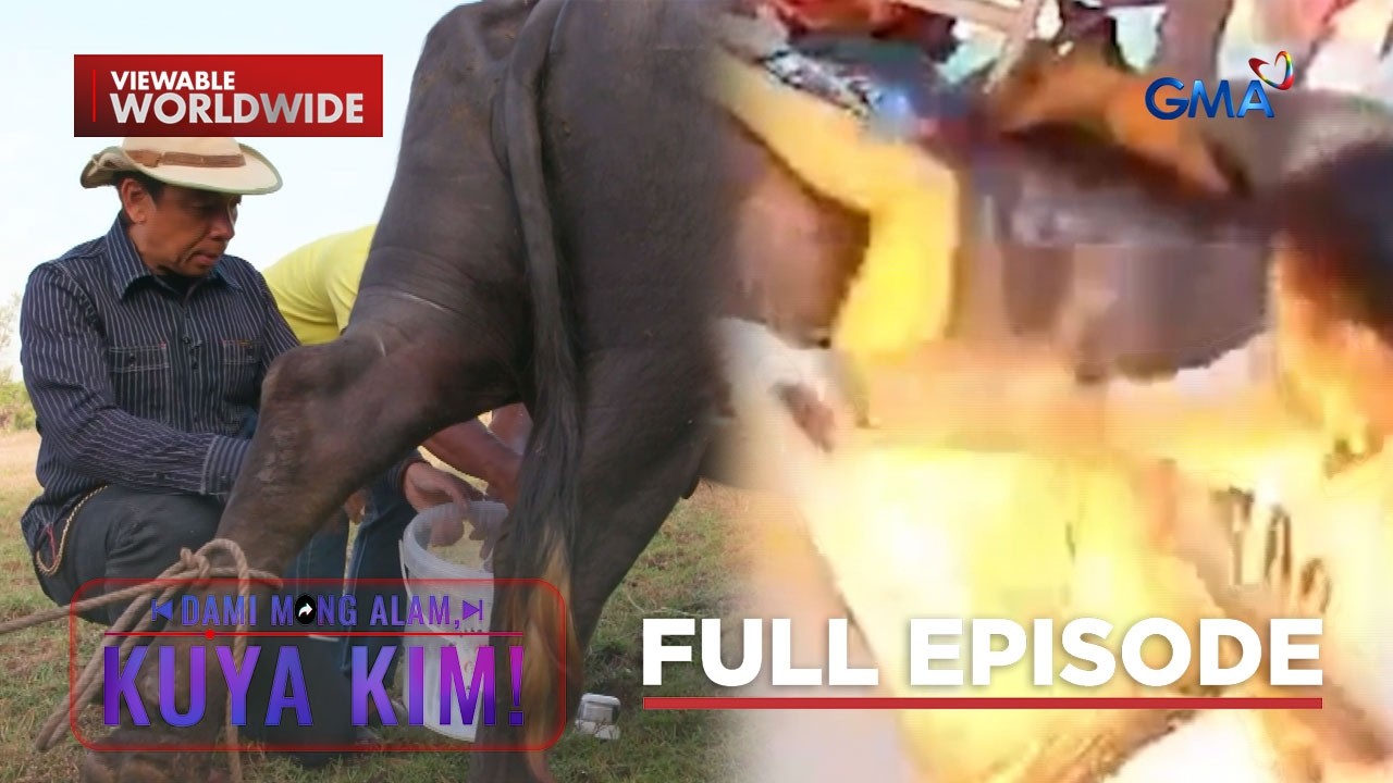 Kuya Kim, naggatas ng kalabaw!; Plantsa, nagliyab! | Dami Mong Alam, Kuya Kim!
