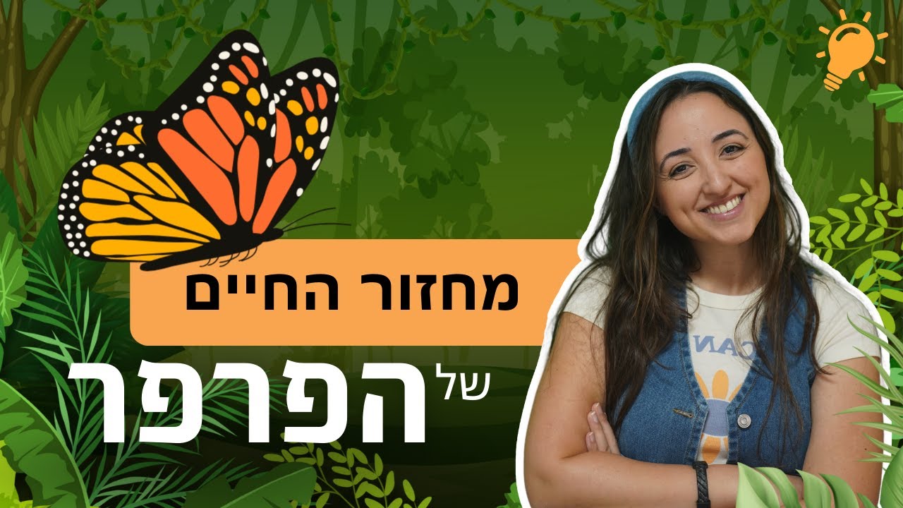 מחזור החיים של הפרפר 🐛🦋 - בואו לגלות את הקסם | תכנים לילדים