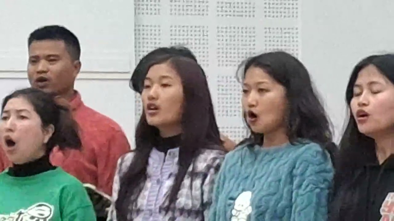 Hla zir