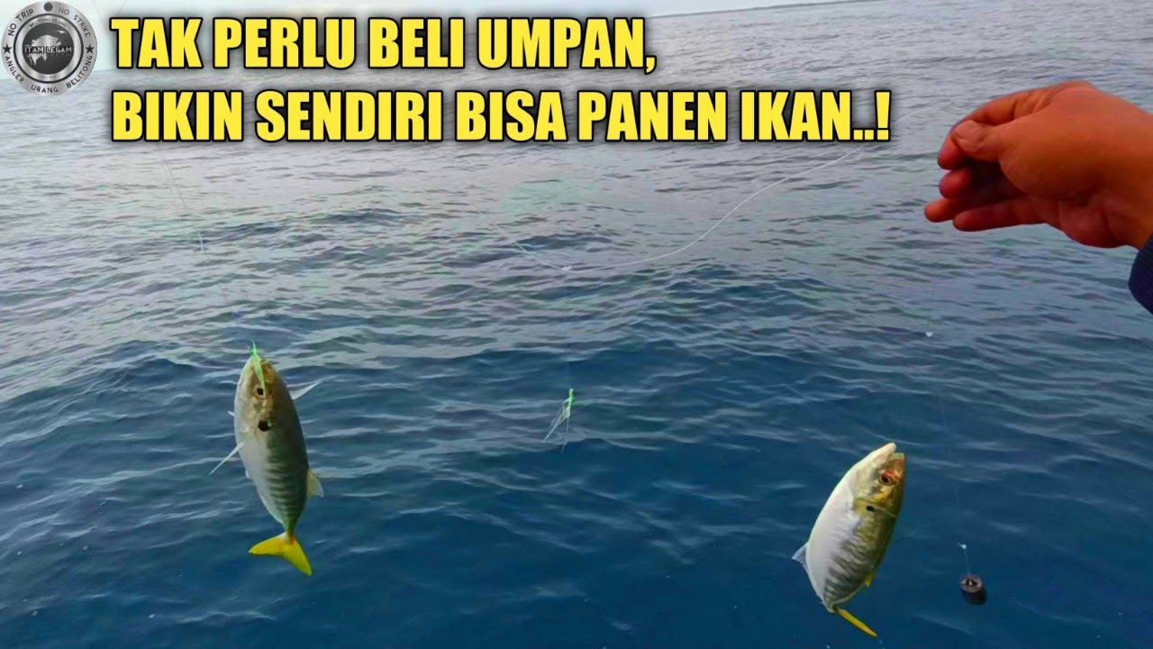 MANCING SABIKI PINGGIRAN PULAU - BISA DAPAT BANYAK IKAN