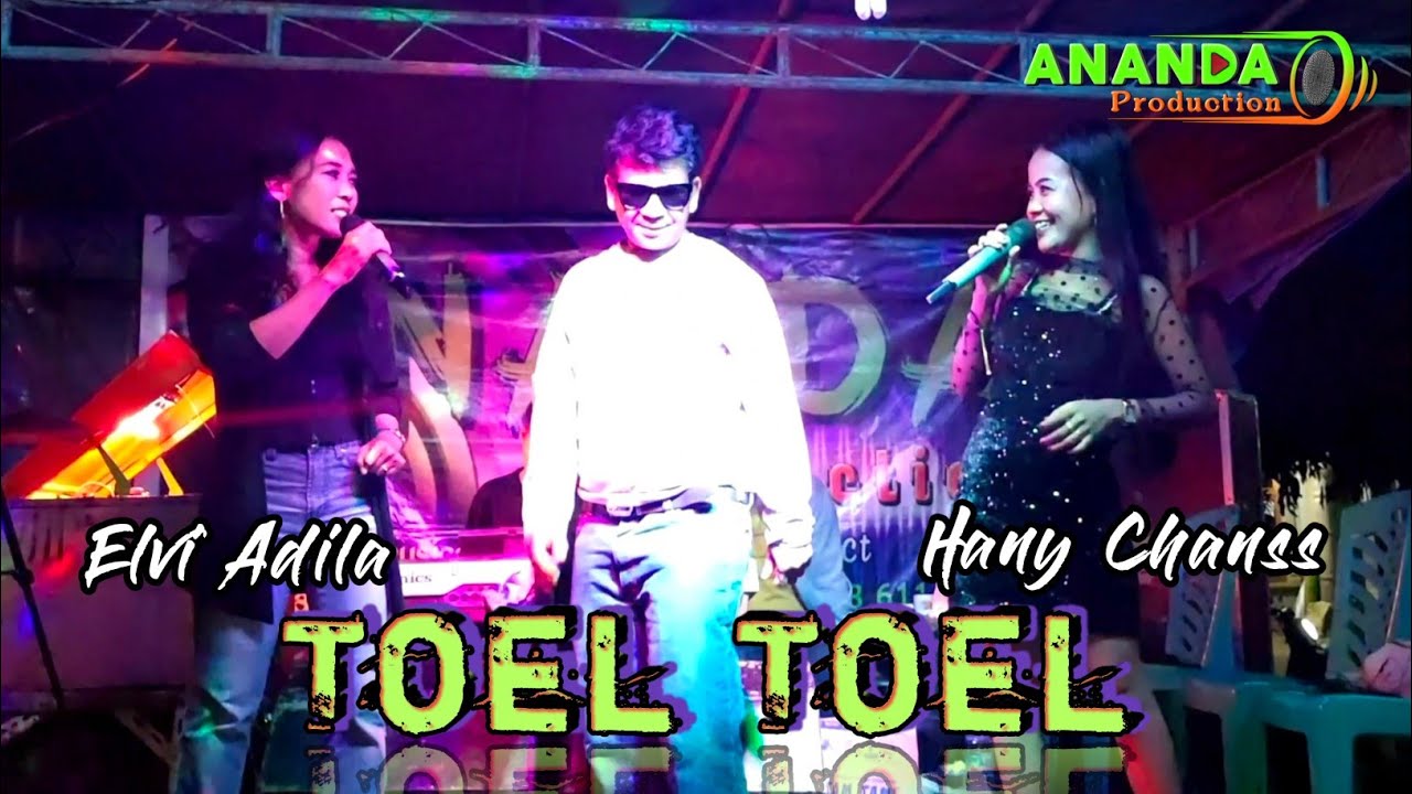 TOEL TOEL - ELVI ADILA FT HANY CHANSS - LAGU DANGDUT MIX