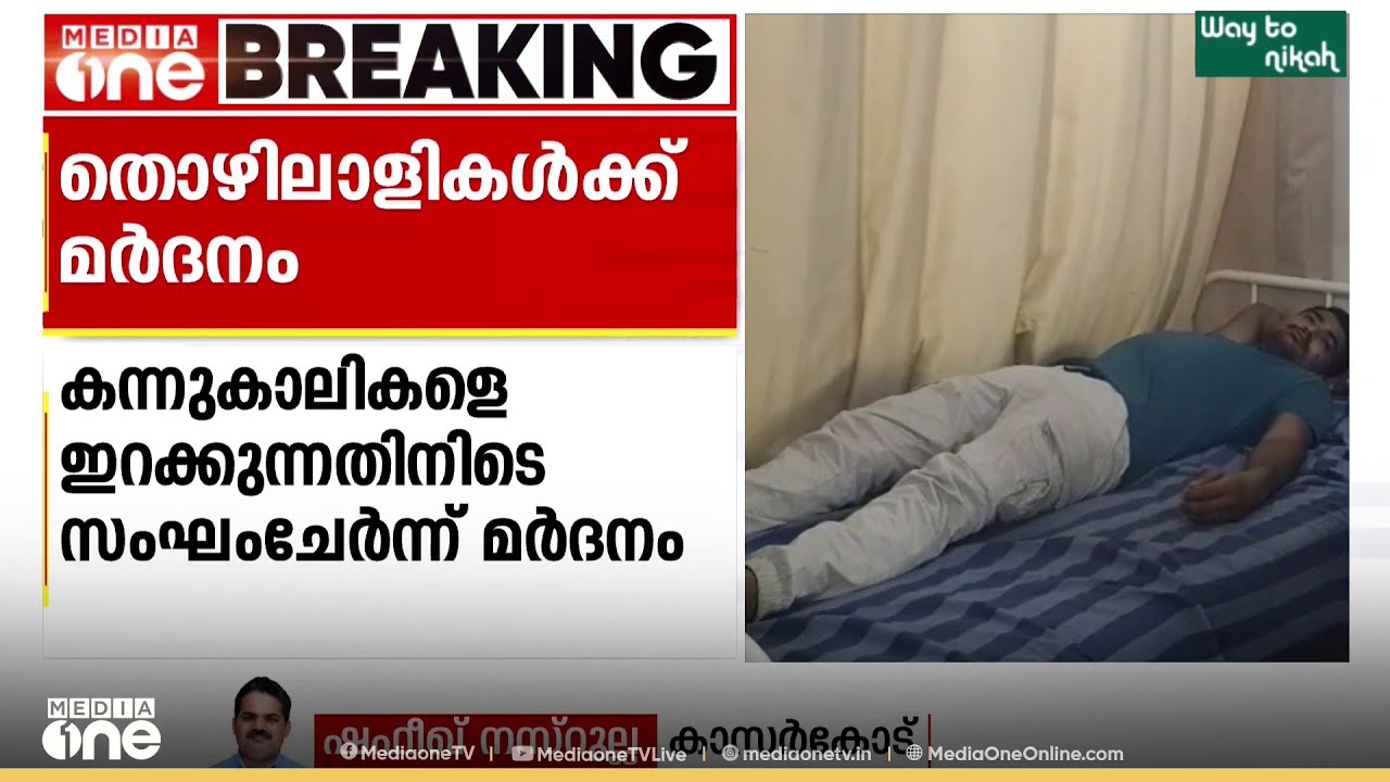 കാസർകോട് ഉത്തരേന്ത്യൻ മോഡൽ മർദനം; കന്നുകാലി തൊഴിലാളികളെ സംഘം ചേർന്ന് മർദിച്ചു