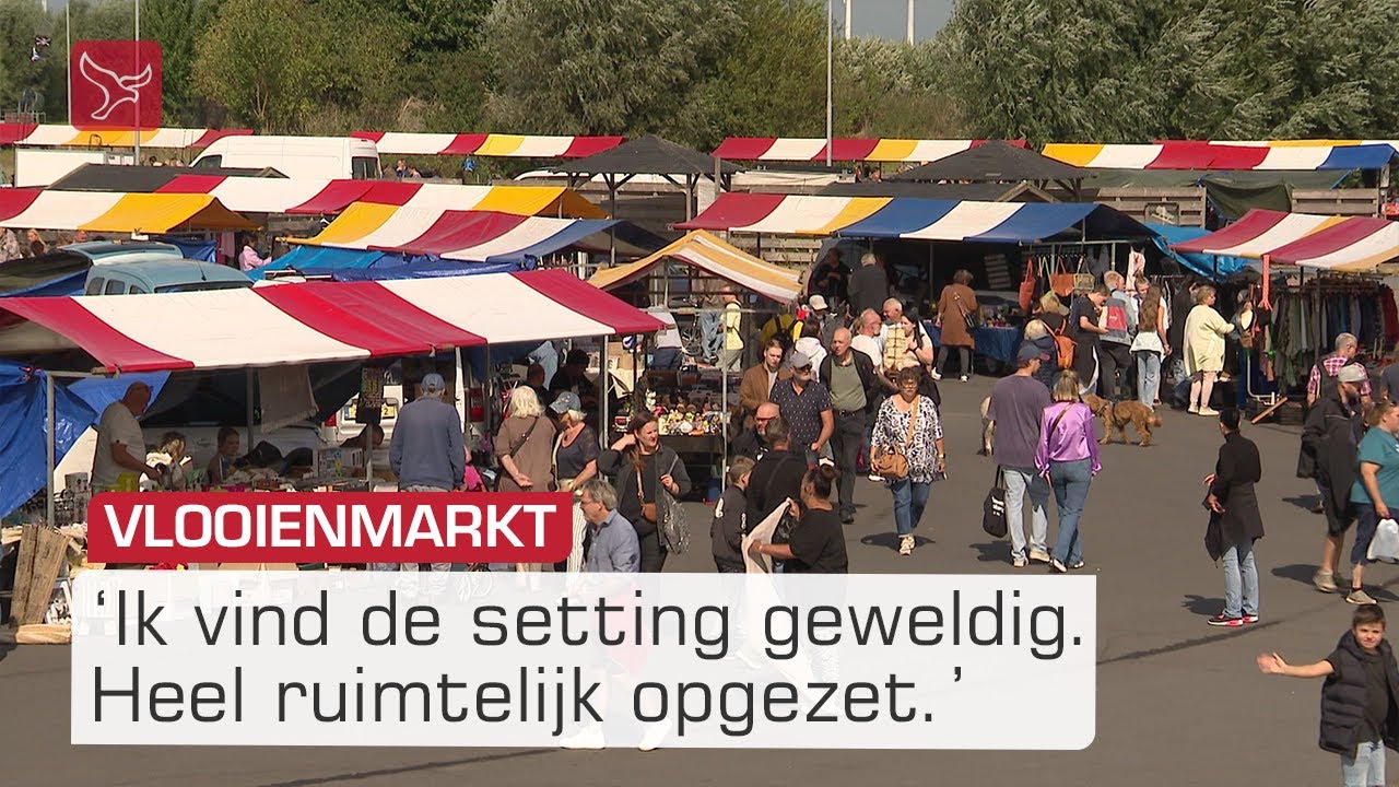 Lekker snuffelen op de grootste vlooien- & kofferbakmarkt van Flevoland | Omroep Flevoland