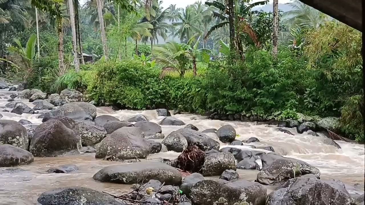 Raging Mountain River After Heavy Rain | Powerful Nature Water Flow