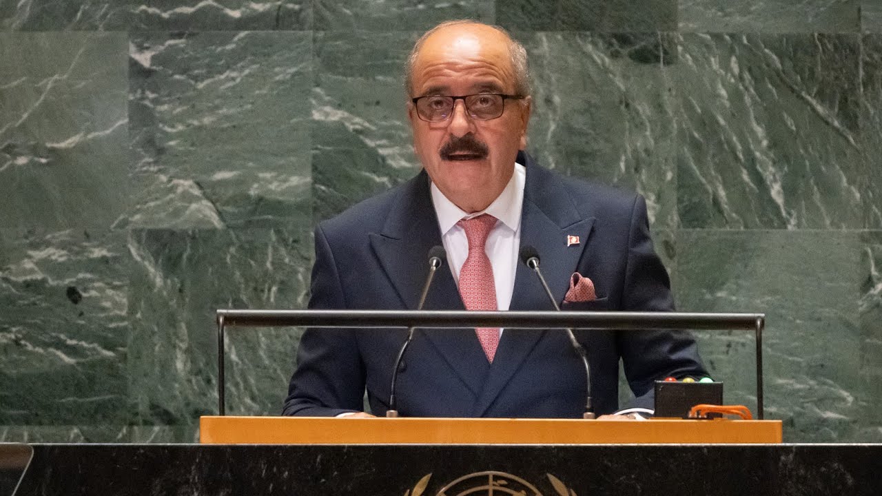 🇹🇳 Тунис, общие прения, 79-я сессия