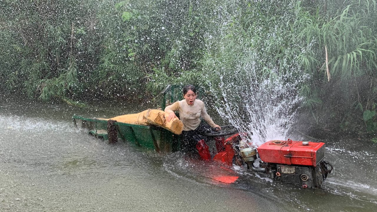 giant jackfruit tree transporter