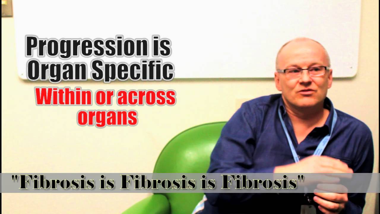 Fibrosis and Immunology