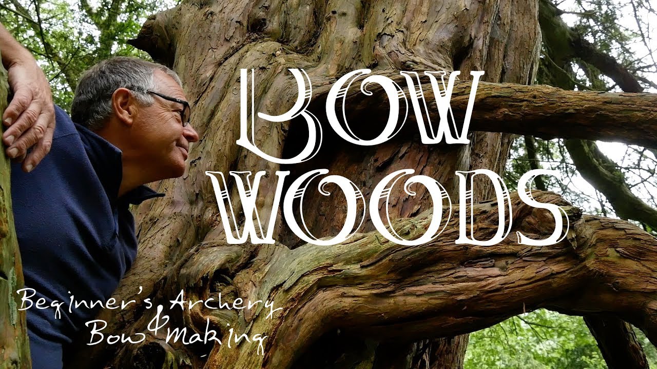 Bow Woods. How I Identify Trees for my Longbows. Harvesting Elm for Bow Staves