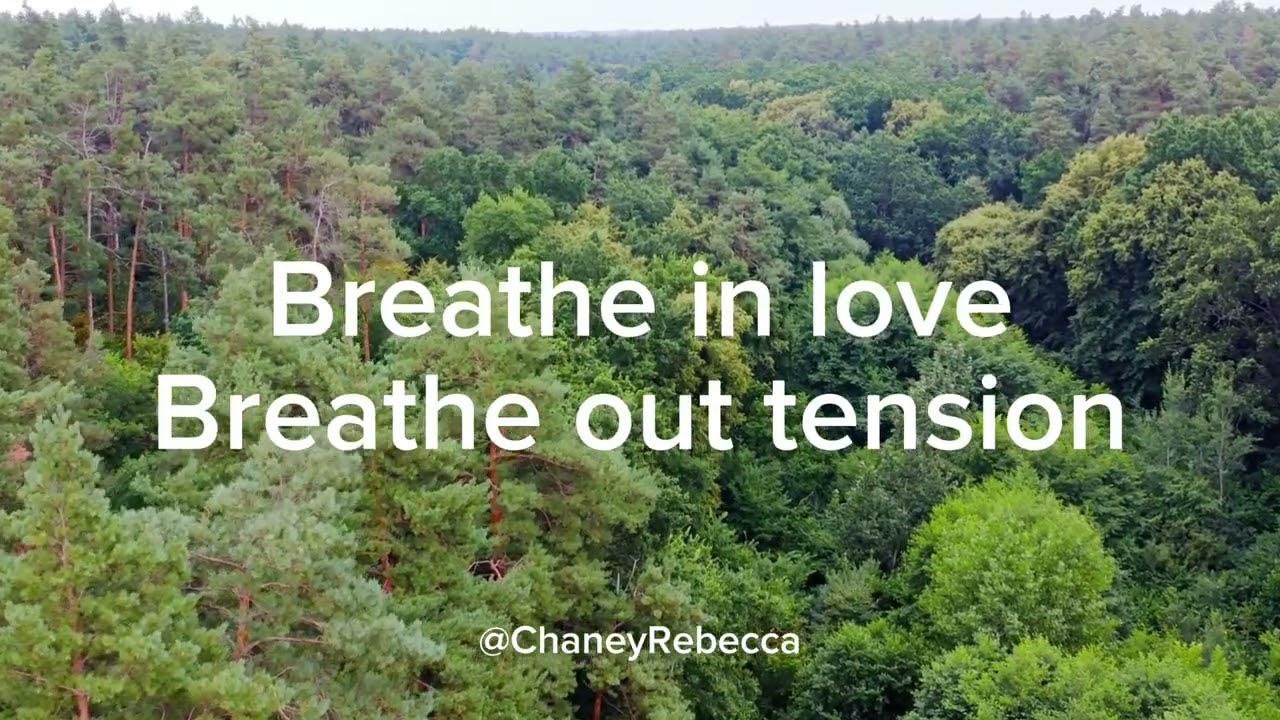 10 Minute Guided Meditation | Release Fear & Return to Love