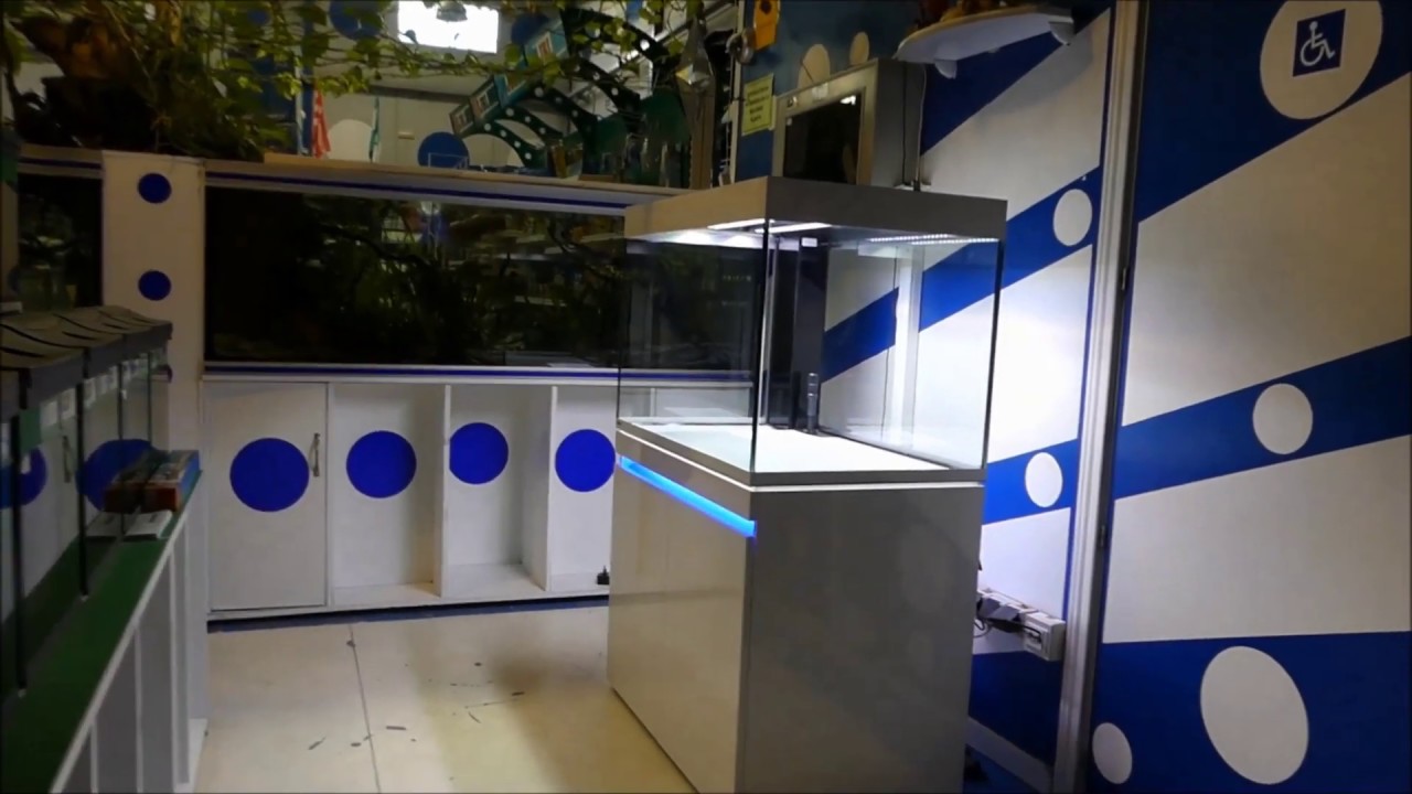 Acuario Eheim Incpiria 330