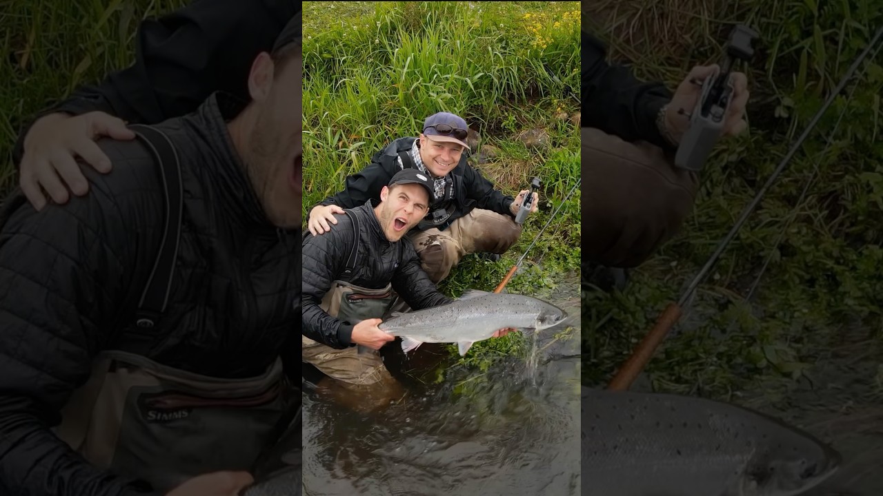 Welcome to the good life!! Salmon fishing on Skjern river #salmonfishing #flyfishing #fishingvideo