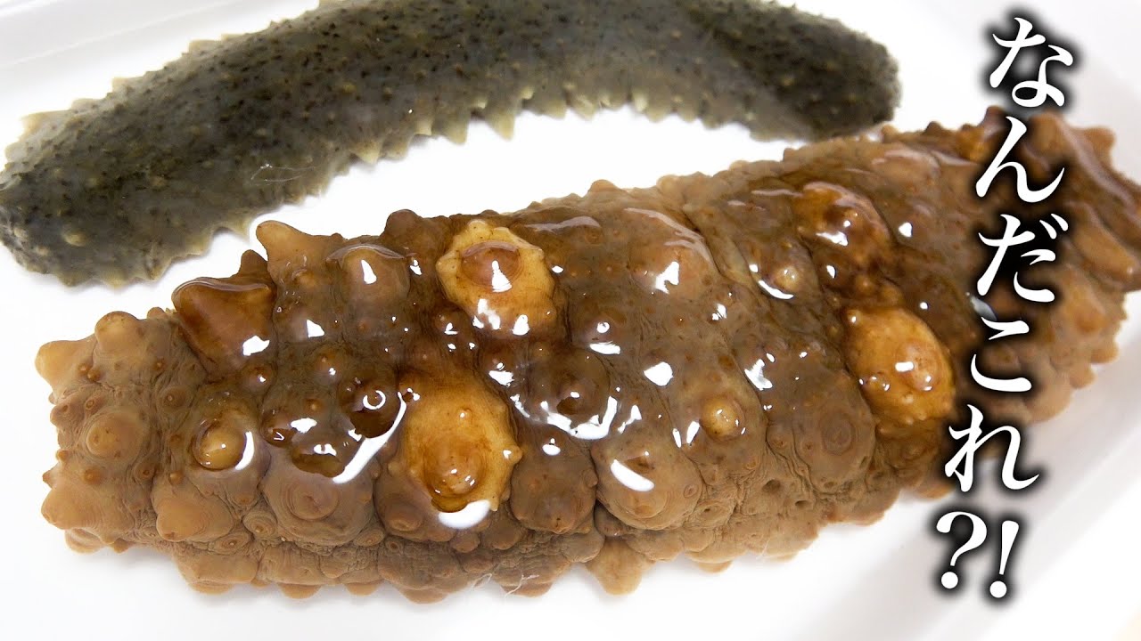 突然変異？！初めて見るゴツゴツしたナマコを調理して食べてみました！！