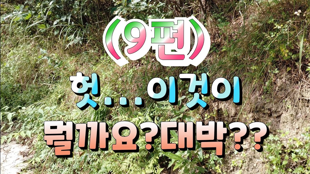 (9편) 경남산행 대박의 난초를 찾아서..