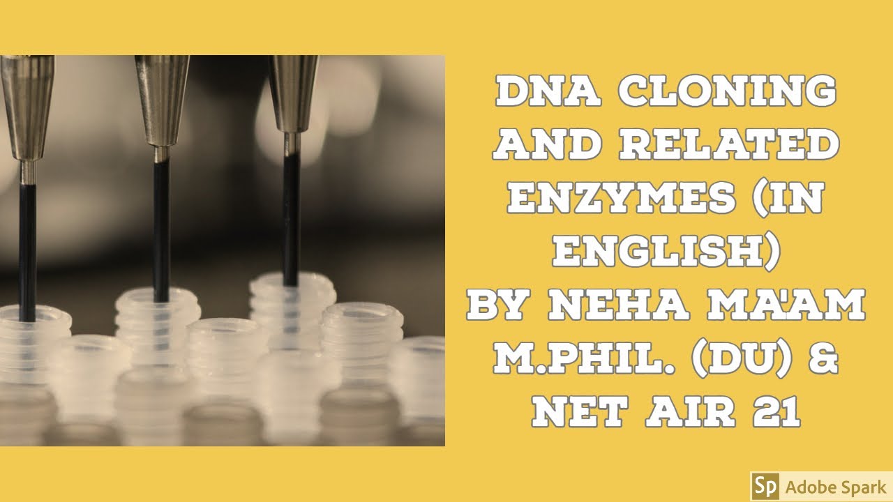 DNA cloning and related enzymes (In English)