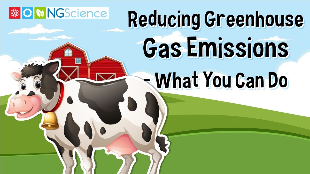 Reducing Greenhouse Gas Emissions &ndash; What You Can Do