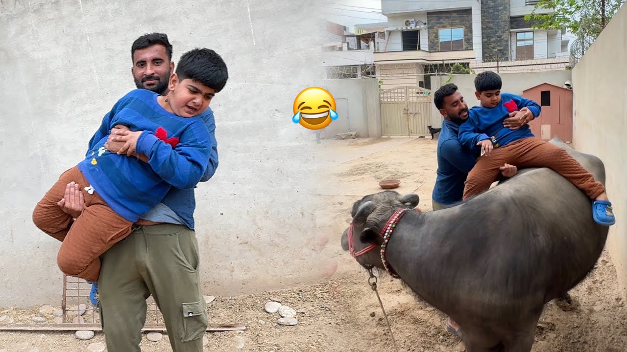 Shayan Bahut Darpok Hai 🤣