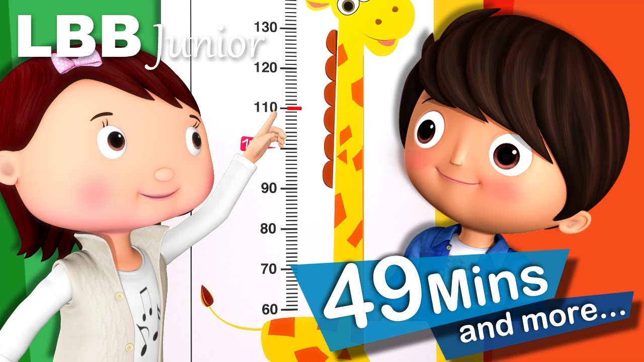 Measuring Your Height Song | And Lots More Original Songs | From LBB Junior!