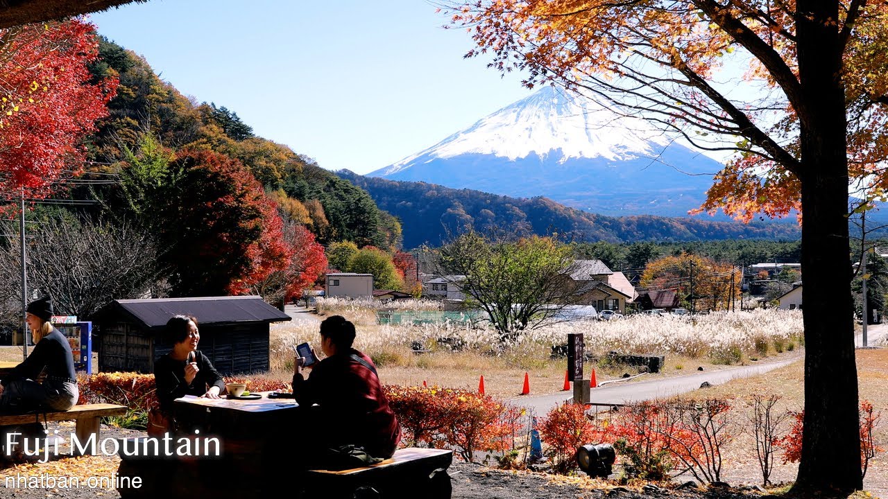 Fuji mountain Japan | Saiko Iyashi no Sato Nenba at the autumn【西湖いやしの里根場】| #explorejapan #japan #4k