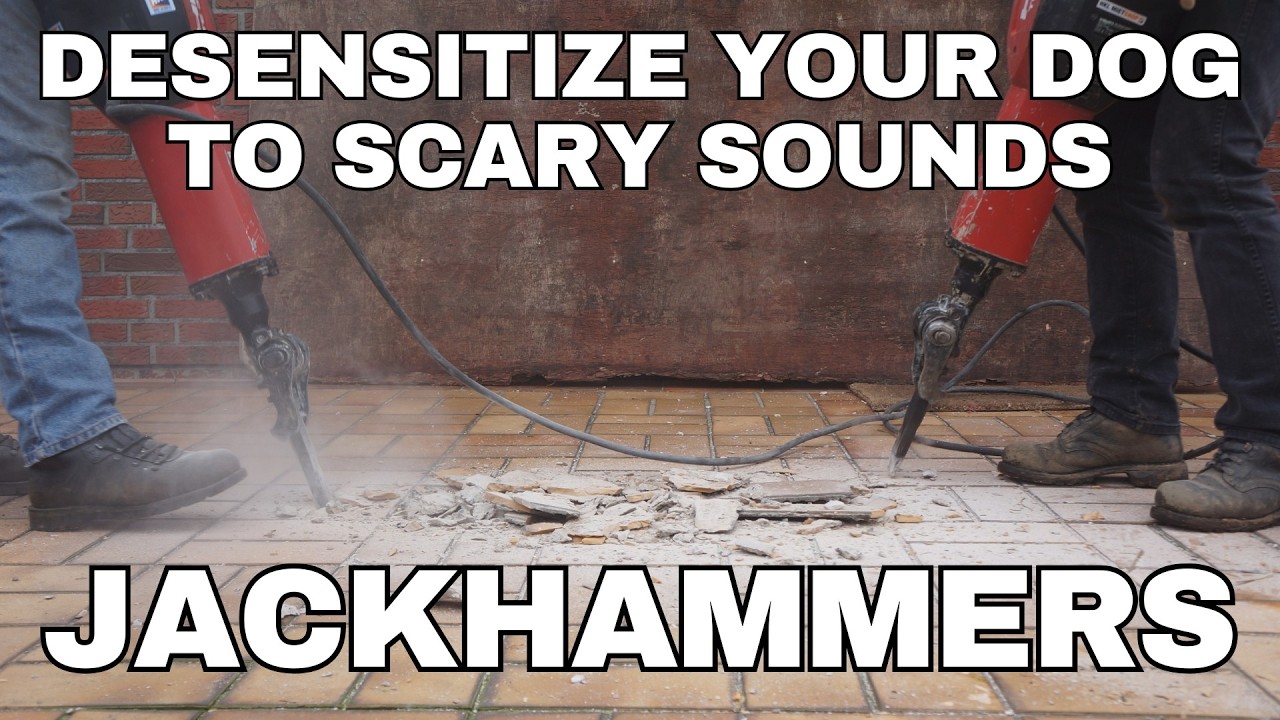 Dog Desensitization Sounds for Dogs & Puppies: Jackhammer Noises