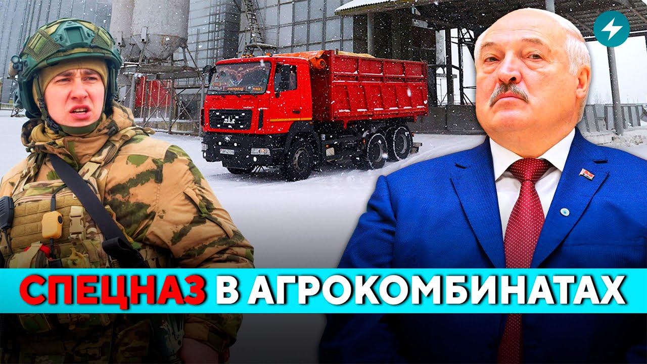 Рейды на агрокомбинатах! Жёсткие наказания за падёж скота. Страдают невиновные // Новости