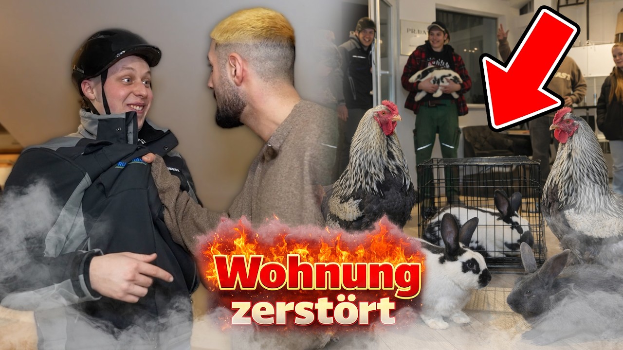 Jordan ZERSTÖRT Semihs WOHNUNG (Tiere kommen rein)