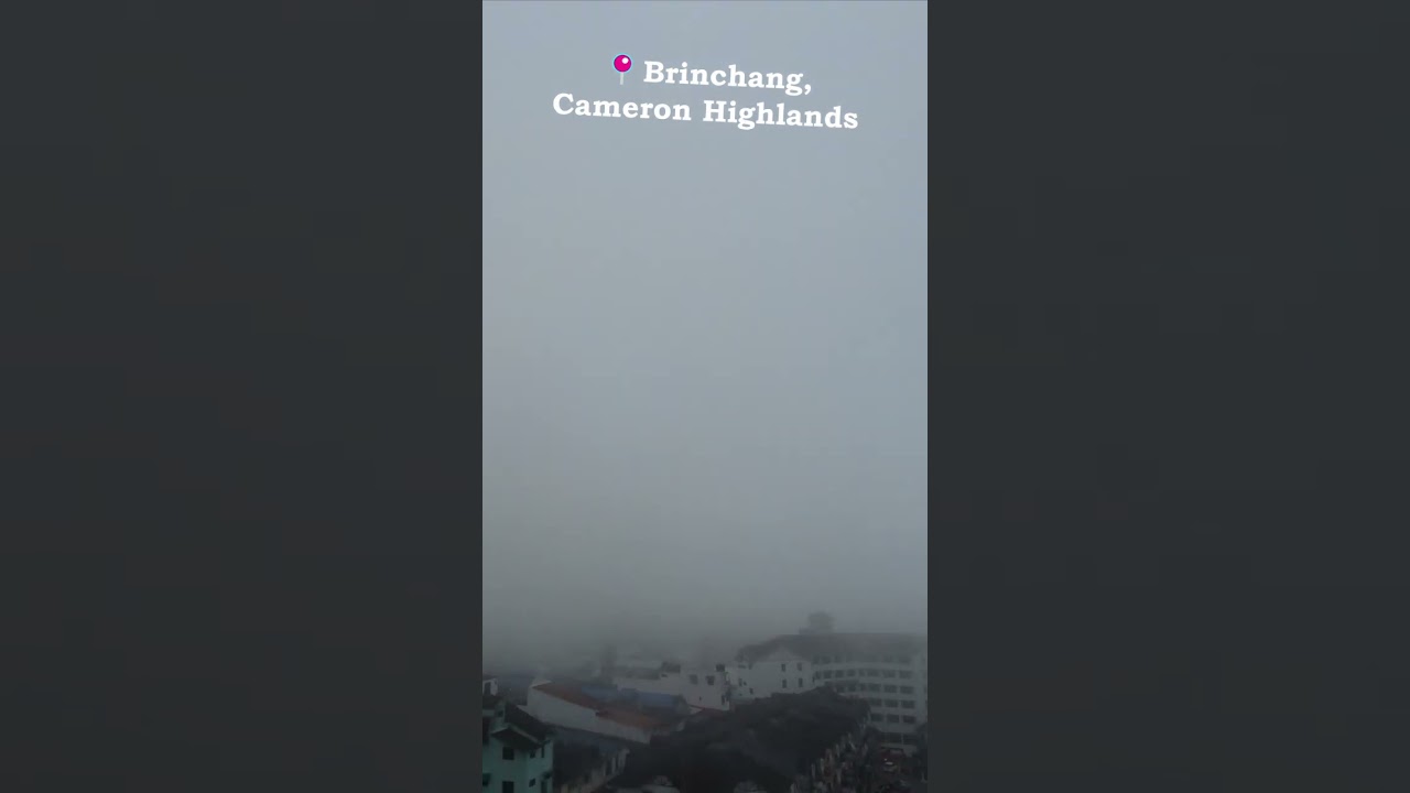 You have to see this... 🇲🇾 🌫️ #malaysia #cameronhighlands #epic #clouds