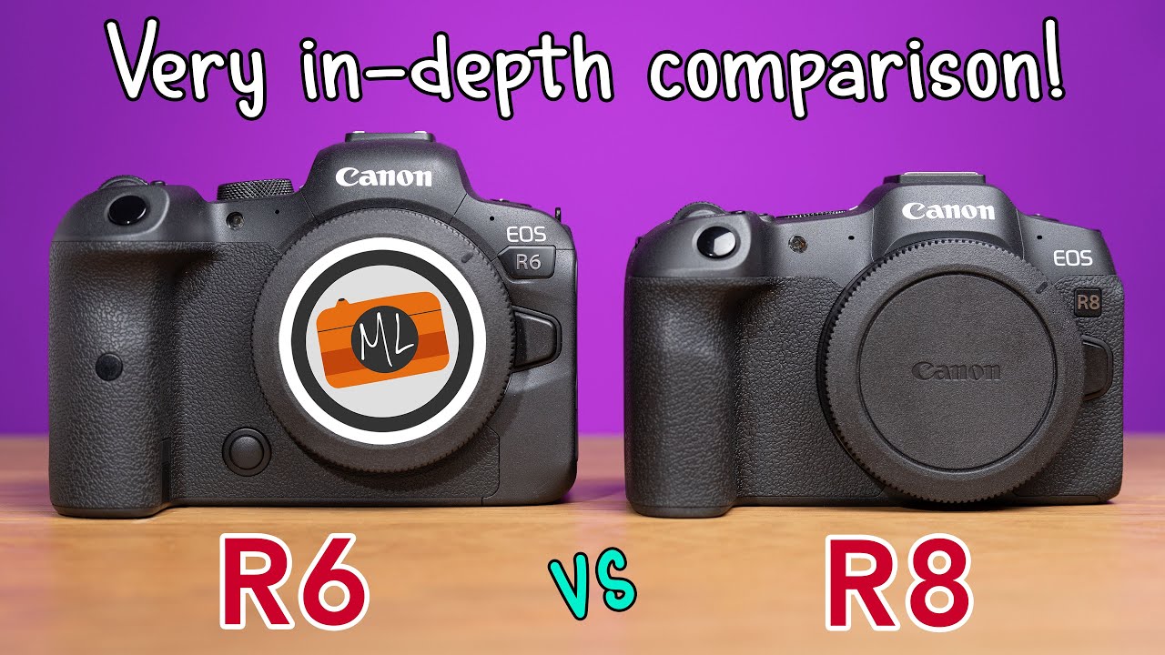 Подробное сравнение Canon R6 и R8 (плюс R8 и RP / R8 и R6 II)
