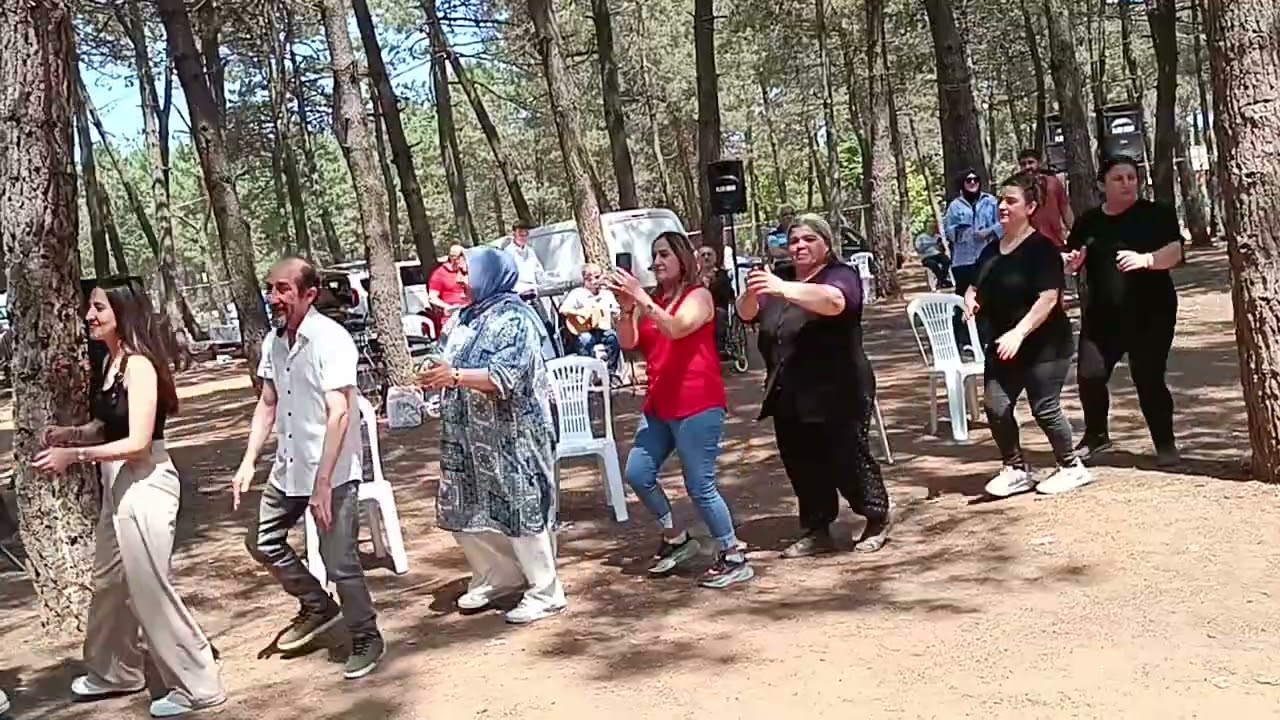 Tokat Almus Alan köyü pikniğinden aydos ormanında Ellik videosu 4 çekim yapan Bayram san dan 👏