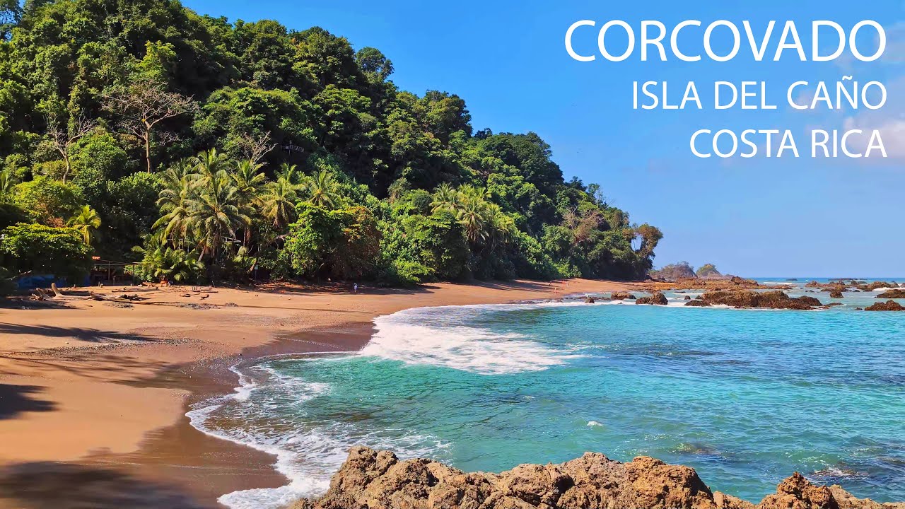 Corcovado National Park, Costa Rica - most biodiverse Place on Earth and Snorkeling Isla del Caño