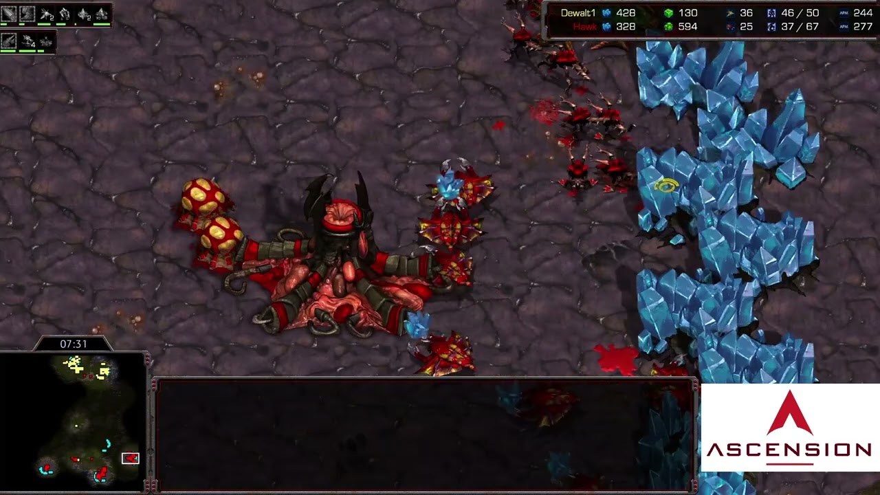 StarCraft 1: DARK ARCHON!! - Hawk vs Dewalt | Ascension
