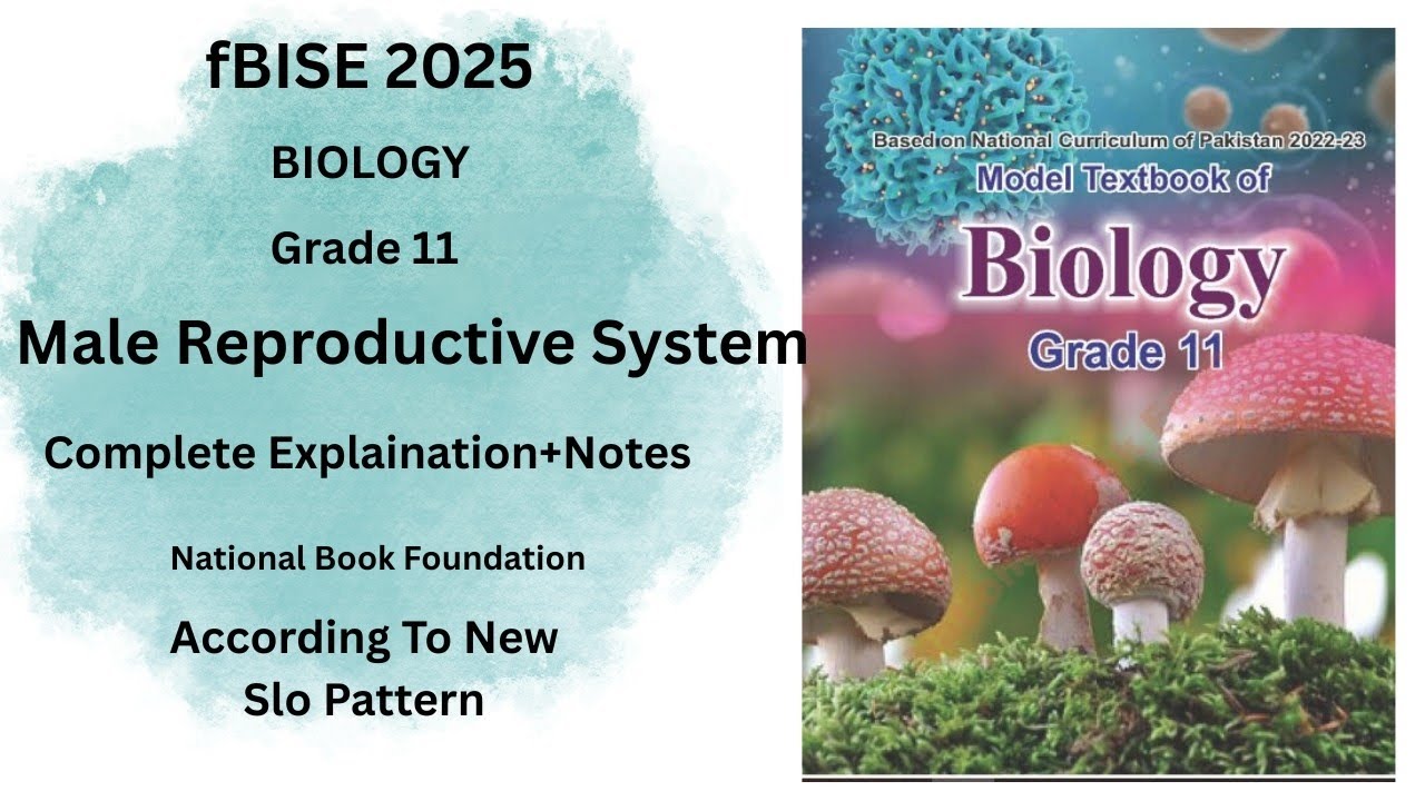 Male Reproductive System | Class 11 Biology Chapter | FBISE 2025| Full Explanation + Notes