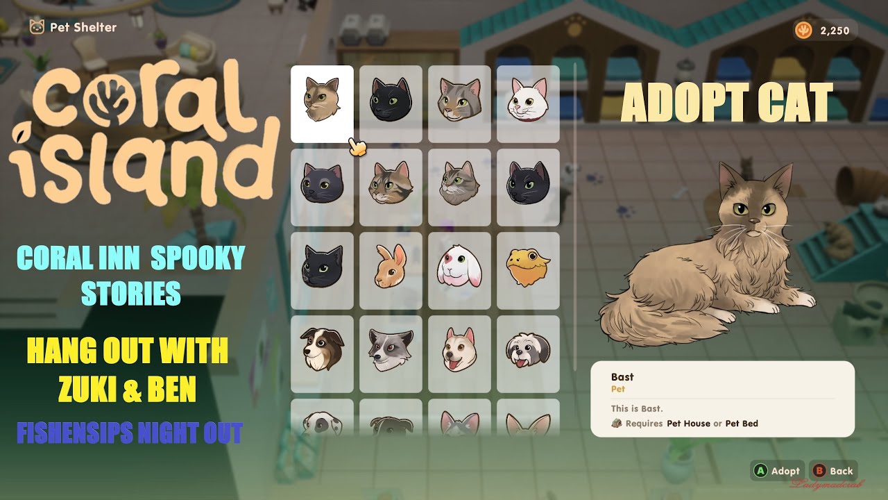 CORAL ISLAND - PET ADOPT & CORAL INN SPOOKY STORIES & HANGOUT WITH ZUKI & BEN - 50