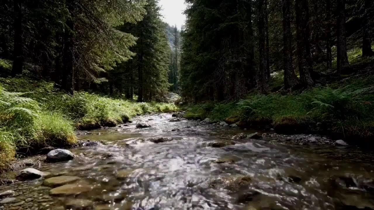 Forest River Sounds for Deep Sleep | Peaceful Nature Stream Forest River Sounds