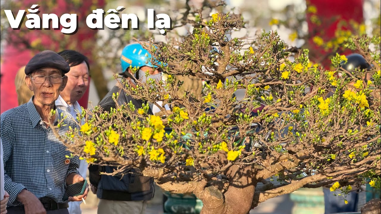Chiều 19 tháng Chạp, Chợ Hoa Xuân vắng chưa từng thấy