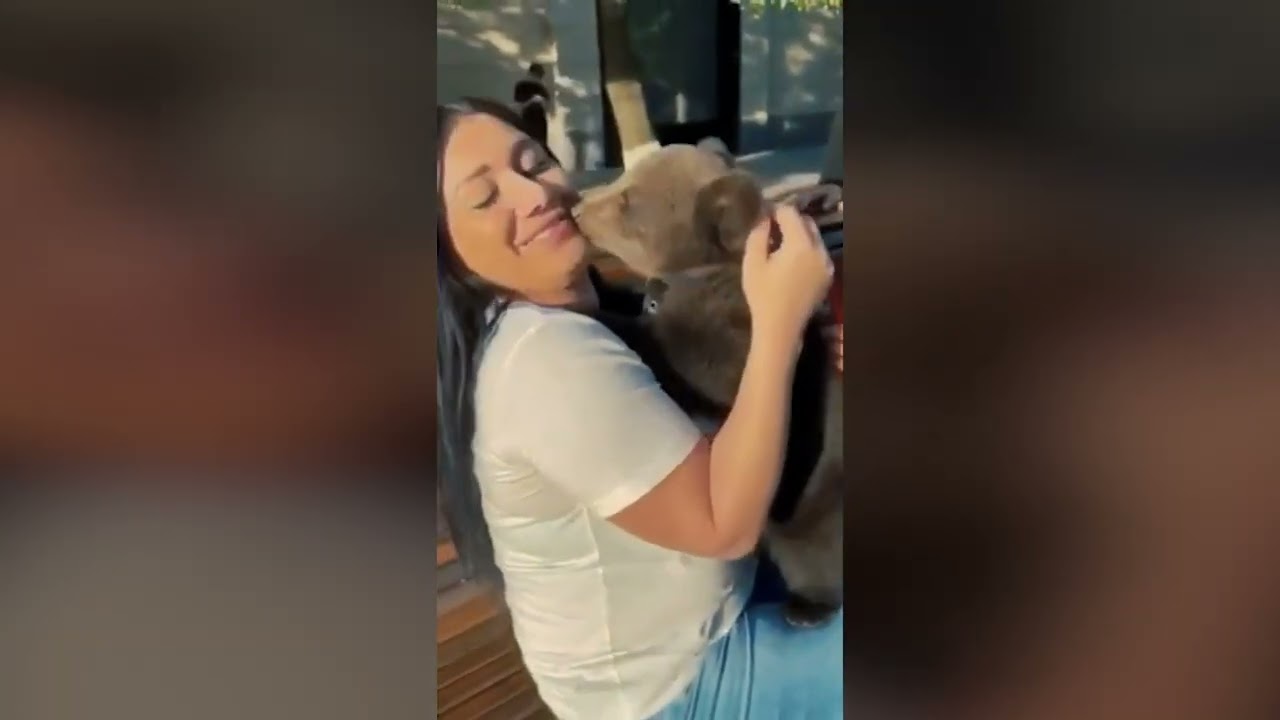 Baby bear attack on russian girl