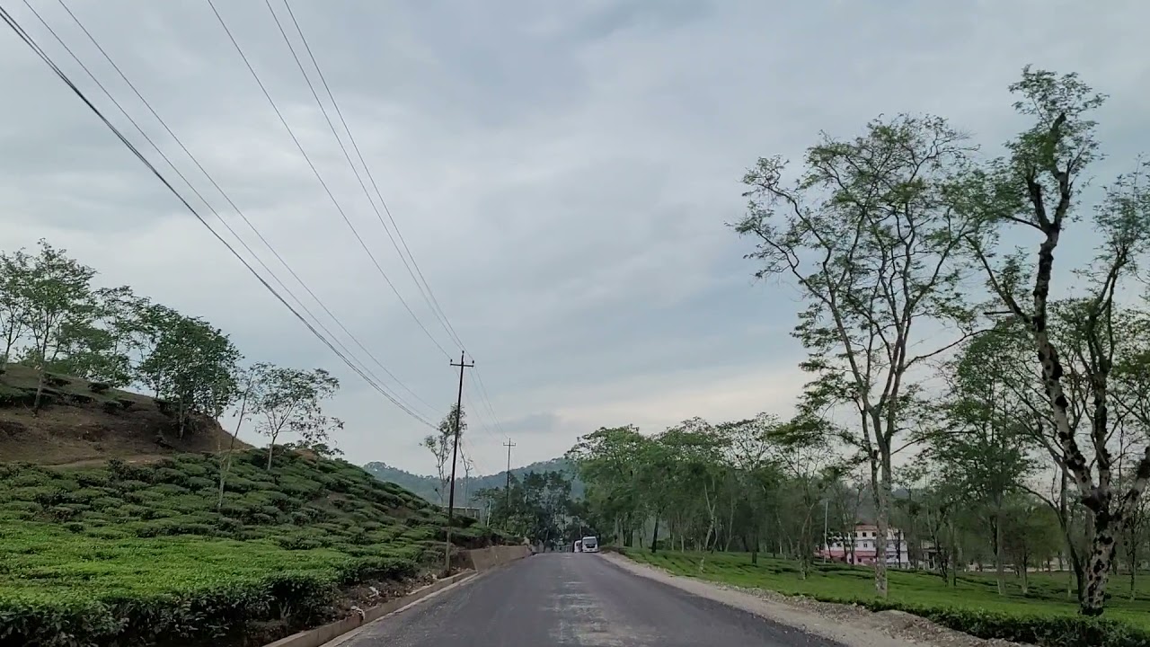 Beauty of Tea Garden with Newly Constructed Road at Danabari,ilam #HillyroadCons. #maimunicipality