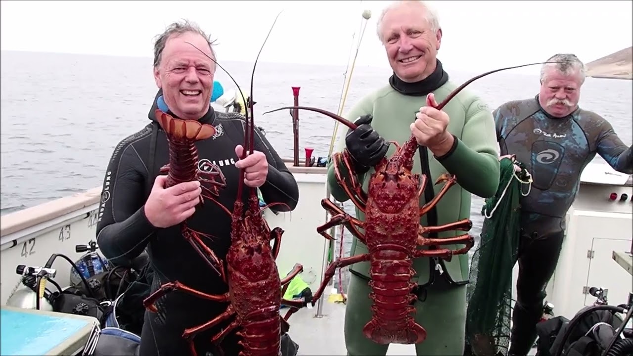 October 2022 California Spiny Lobster Diving Salt Water Revival Dive Club