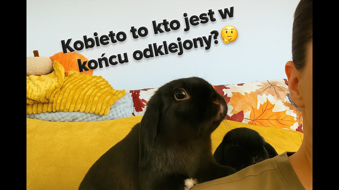 Przyszłam po radę...a wyszłam z dramą🤯