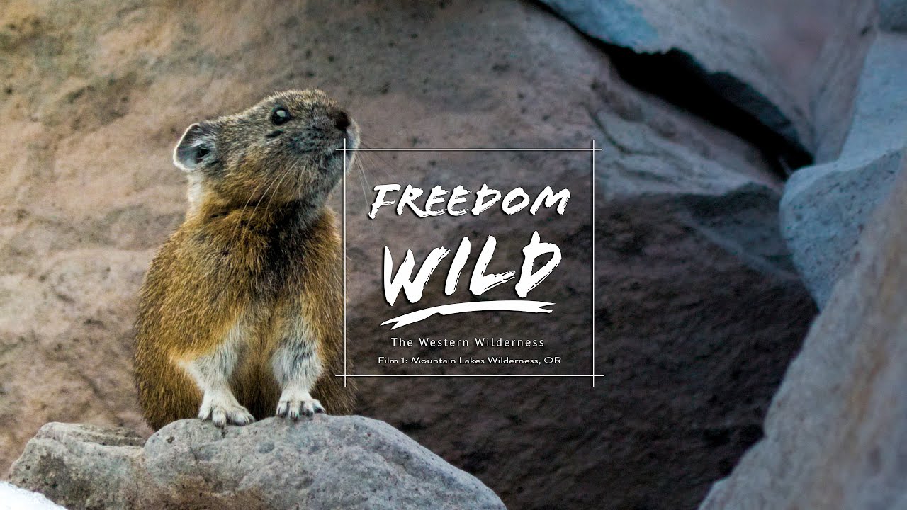 Freedom Wild: Ep. 1- Mountain Lakes Wilderness, OR