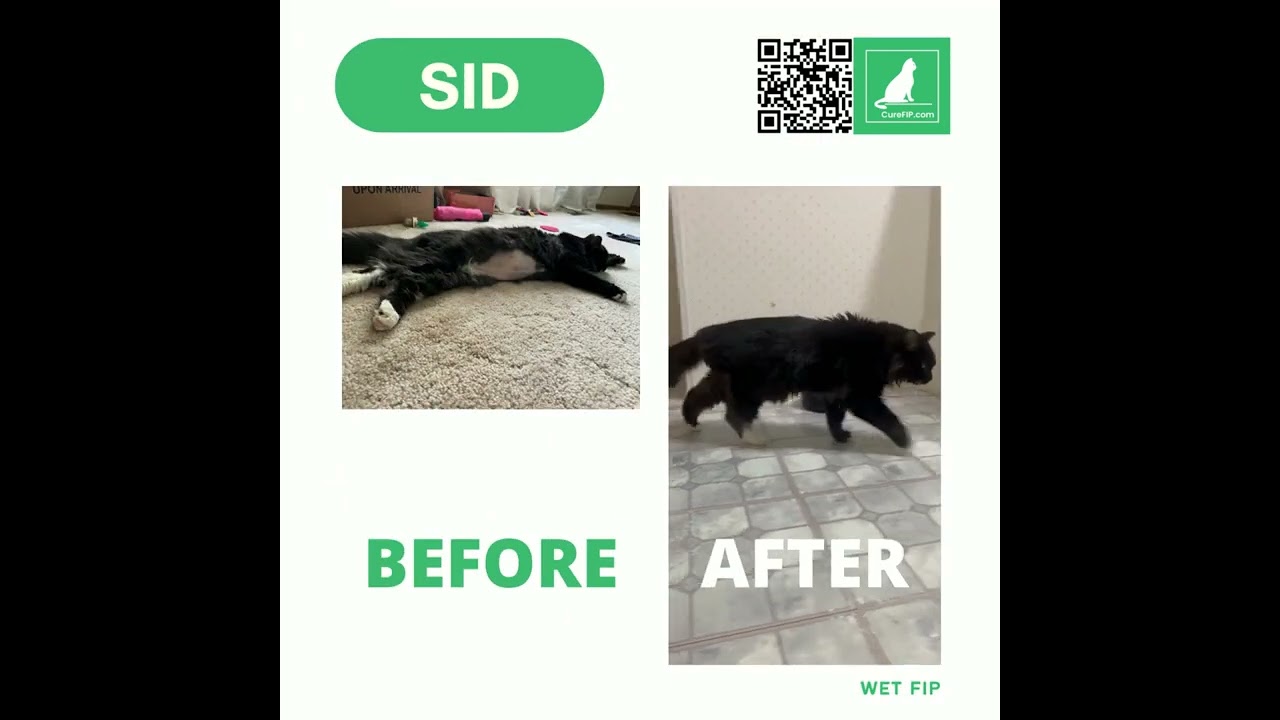 Our FIP Fighter !