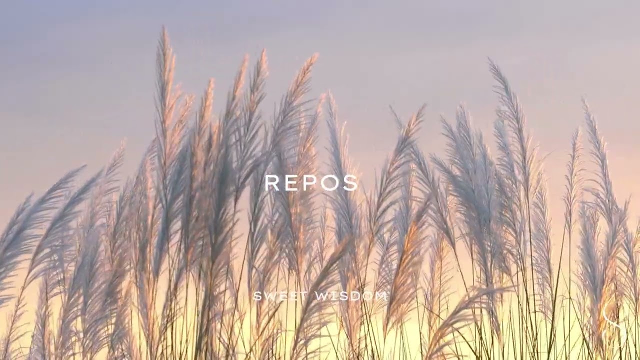 Sweet Wisdom - Repos