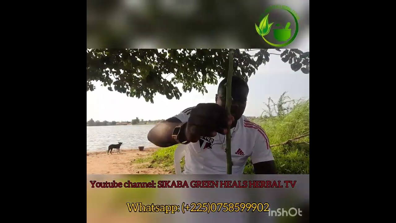 La puissance des feuilles de Manioc qui vous surprendra. // Justice Sikaba//