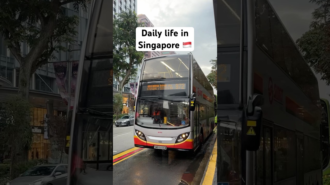 🇸🇬This is how Daily Life in Singapore looks like🚄 #singapore
