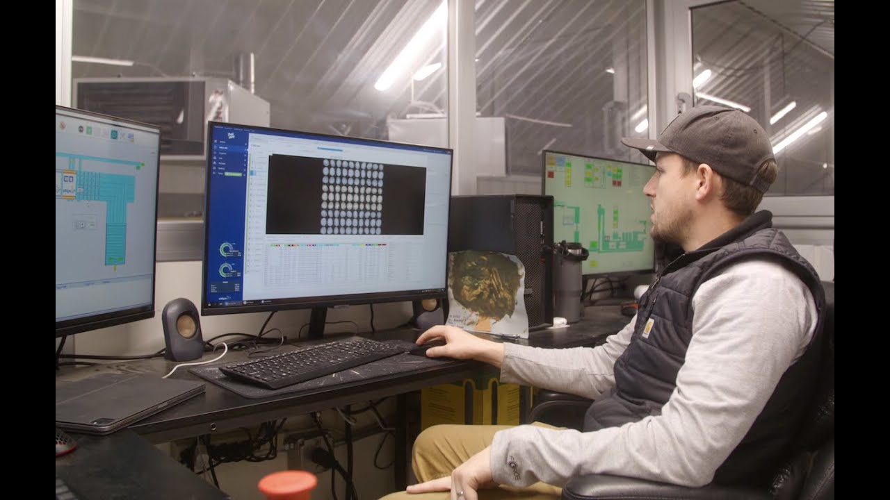 Potato sorting machine: Smaller-scale grower Pioneer Potatoes achieves big grading results