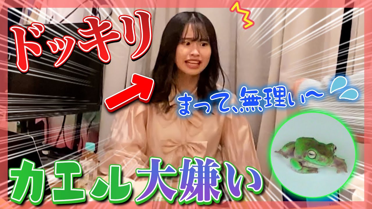 【ドッキリ】もかが大大大嫌いなカエルを何度も登場させたら・・