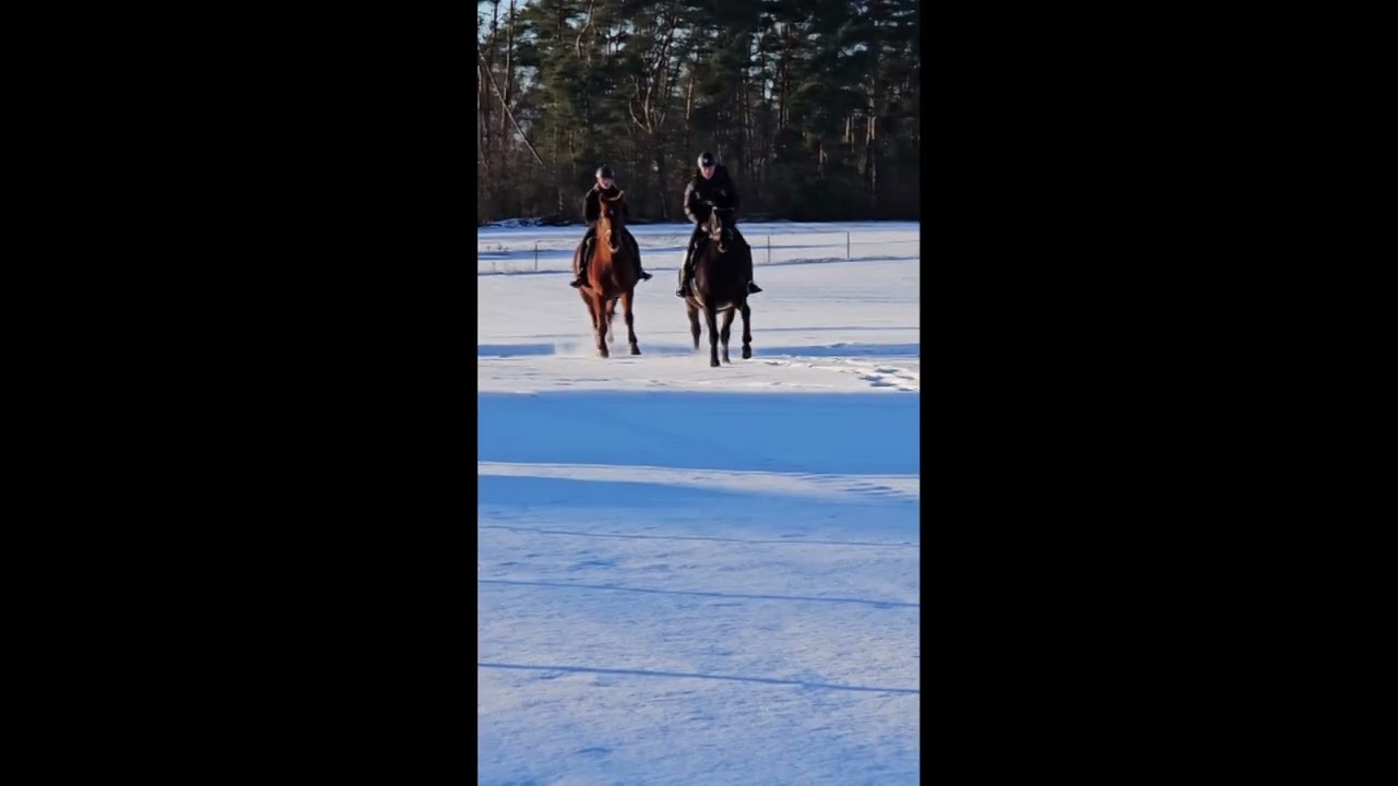 #Winter