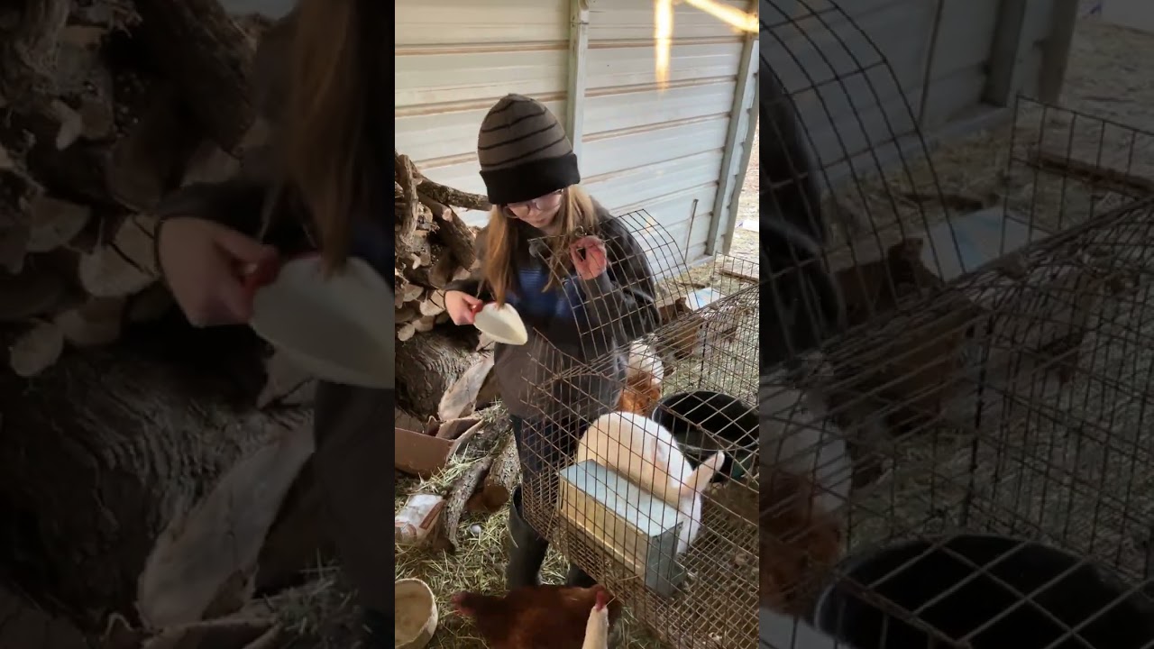Always Wabbit Country from a kids perspective Part1
