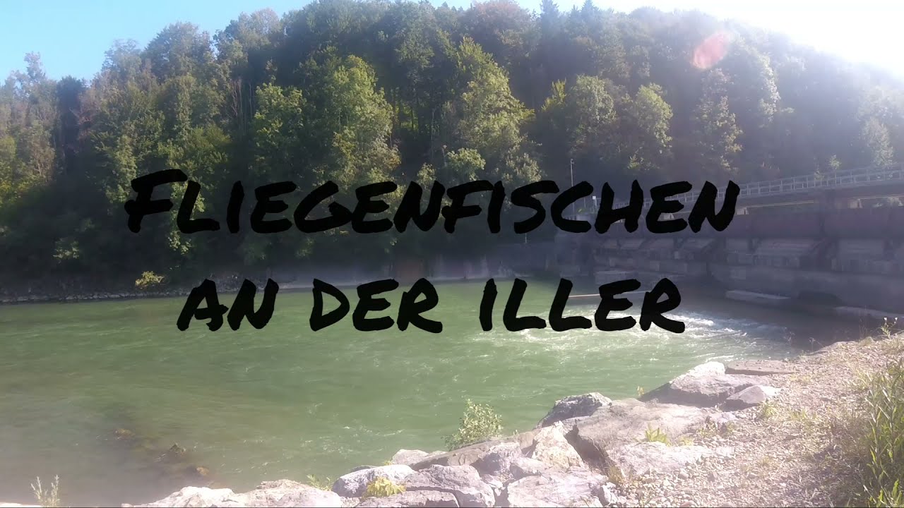 Fliegenfischen an der Iller