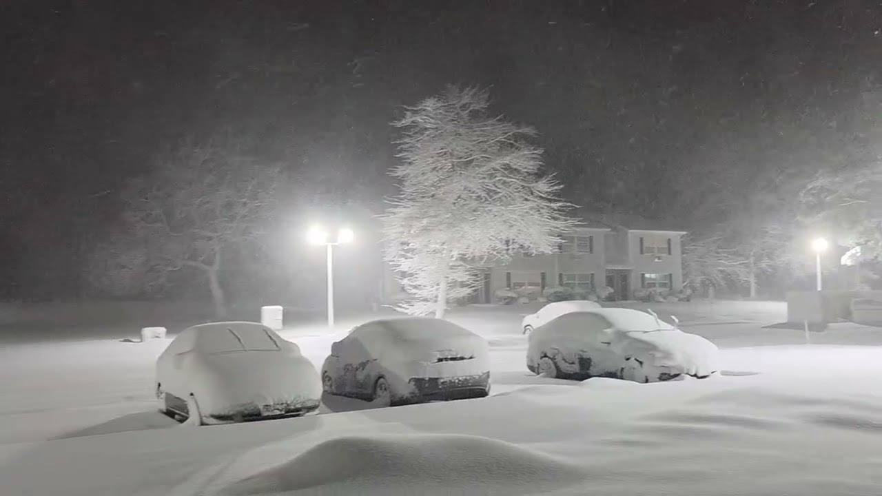 I went out into #Blizzard2026 to get some nice pics 